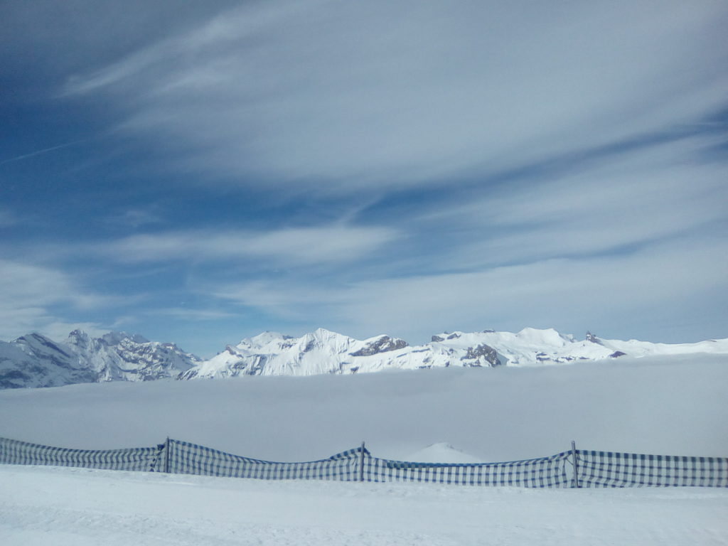 IMG 20170321 092919 1 Picture