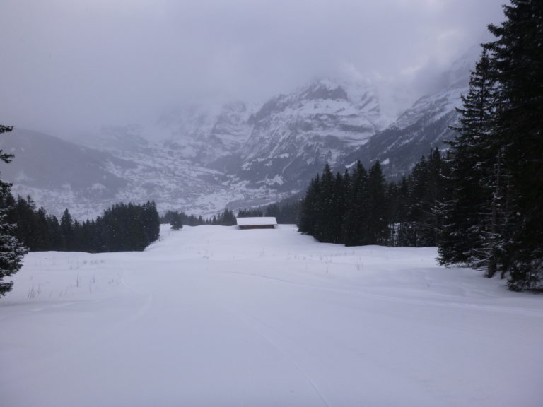 An Opportunity Picture