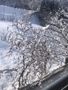 New snow